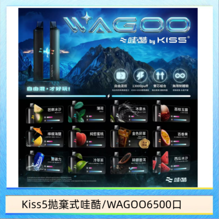 WAGOO哇酷Kiss5 6500口拋棄式 | 自由混搭雙口味 | 雙芯組合