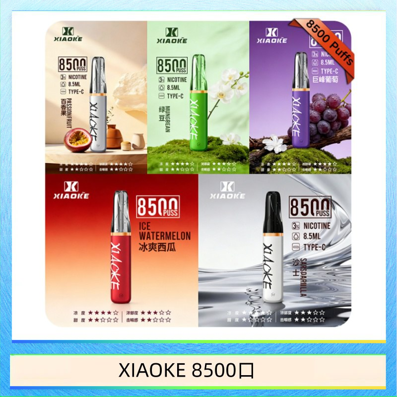 XIAOKE 8500口 梟客XIAOKE一次性電子菸拋棄式8500口